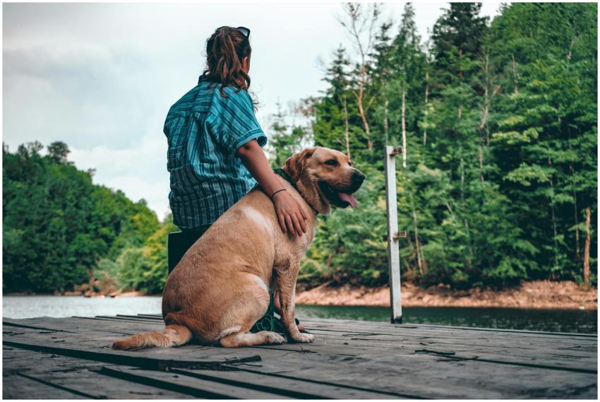 A woman sitting with her Labrador in a tranquil la