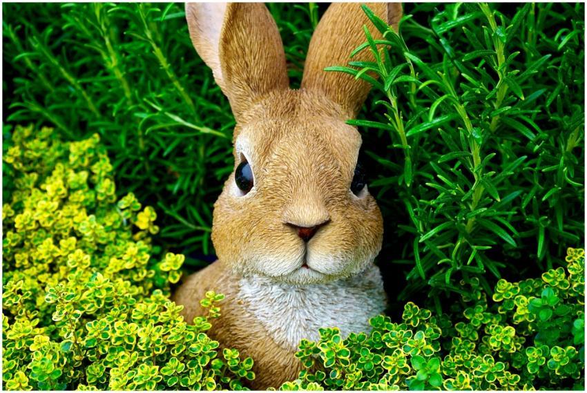 Adorable brown rabbit nestled among vibrant green