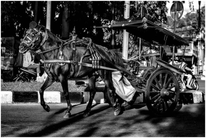 Free stock photo of bendi, blackandwhitephotograph