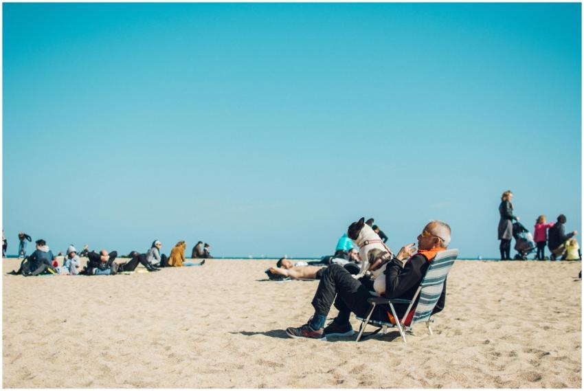 Elderly man with dog enjoying a sunny day at the b