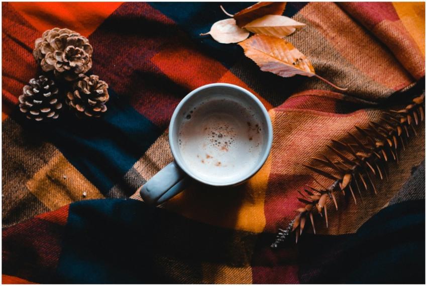 Warm cup of coffee on plaid blanket with pine cone