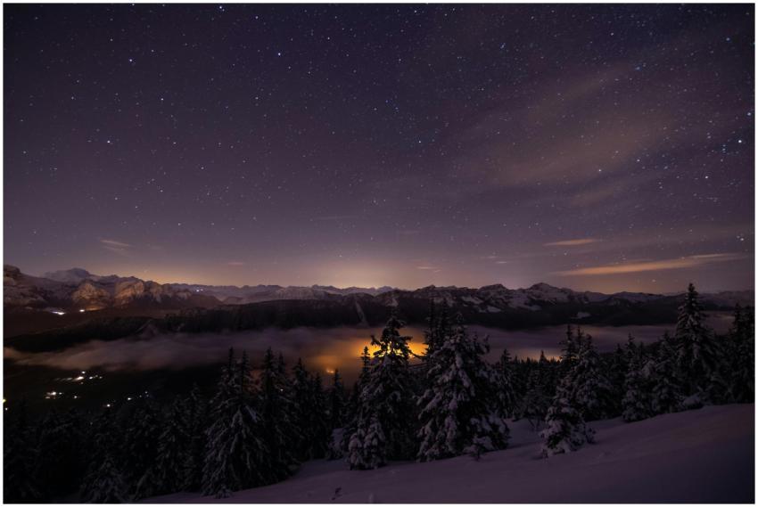 Starry night with snow-covered trees and mountains