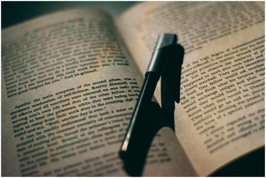 Close-up of a ballpoint pen resting between the pa