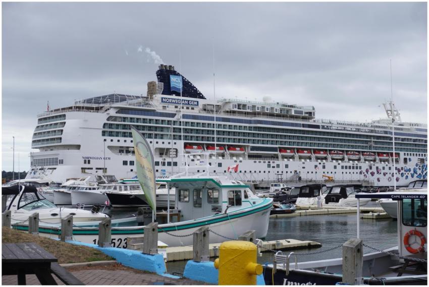 A view of a large cruise ship docked at a busy har