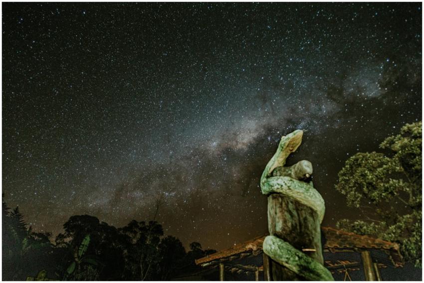 Vivid night sky filled with stars above a snake sc