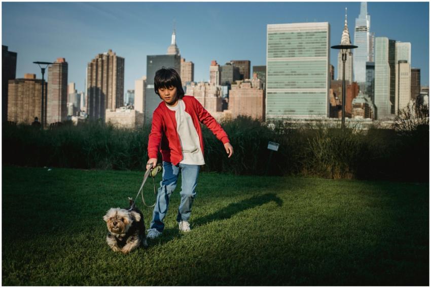 Ethnic child with Yorkshire Terrier on leash prepa