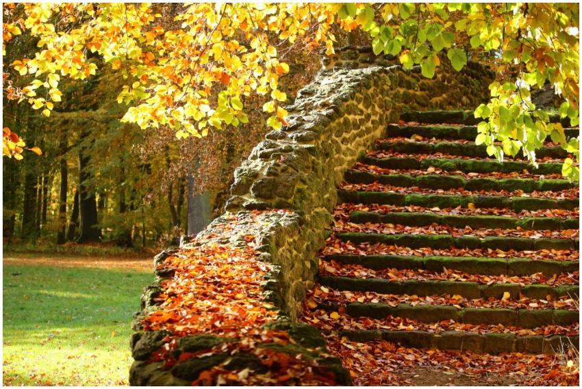 Stone stairs covered with autumn leaves under glow