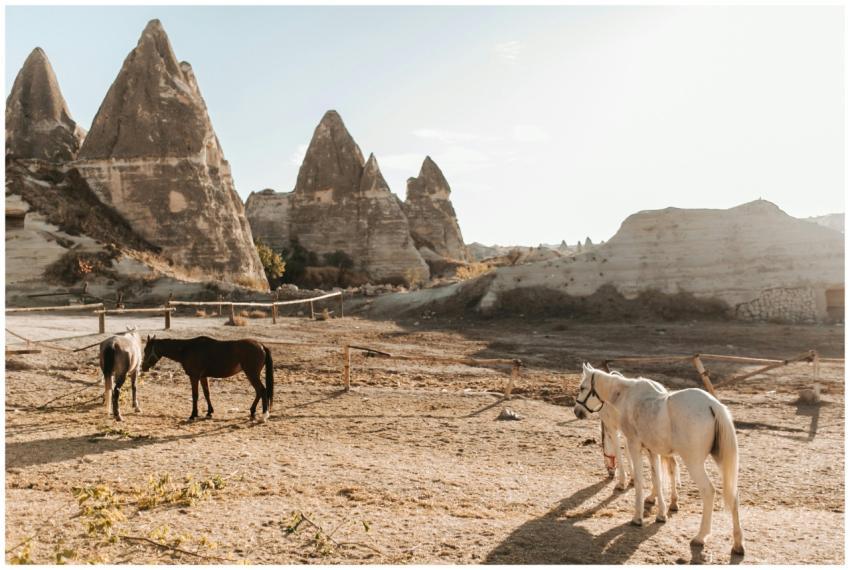 Horses grazing in the unique rock formations of Ca