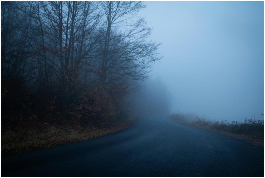 Free stock photo of atmospheric, autumn, blue hour