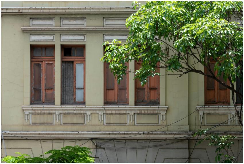 Classic architecture with wooden windows and lush
