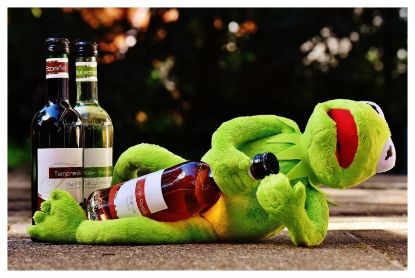Kermit Frog Nature Wine