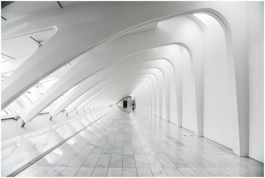 Explore the sweeping modern arches and minimalisti
