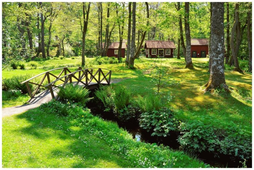 Beautiful summer landscape featuring a wooden brid