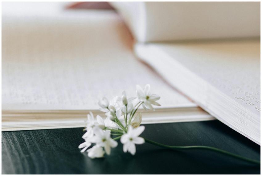 Close-up of a delicate white flower resting on an
