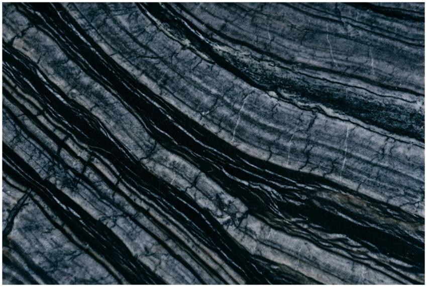 Detailed photo capturing the intricate patterns an