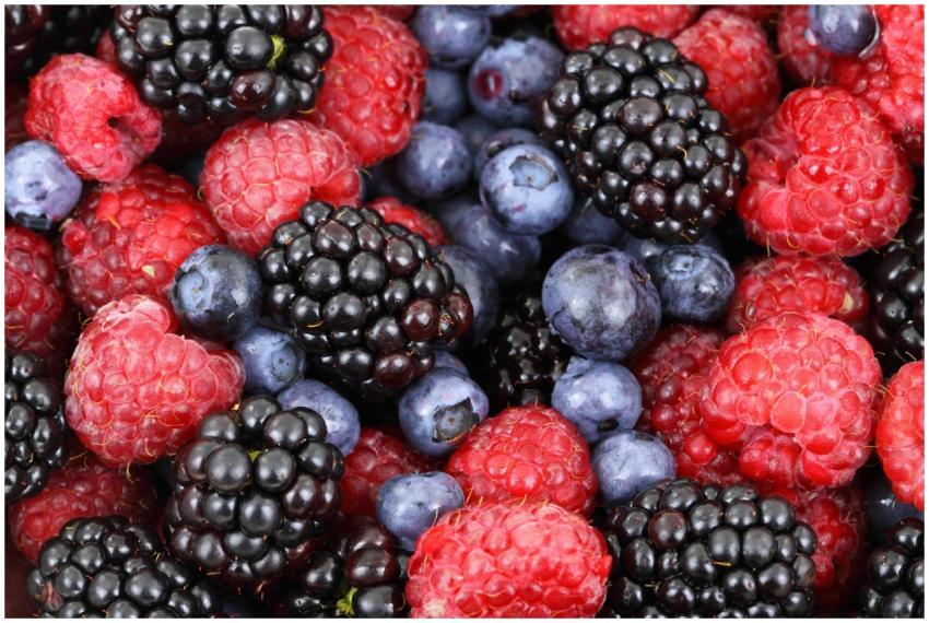 A colorful and fresh assortment of blackberries, r