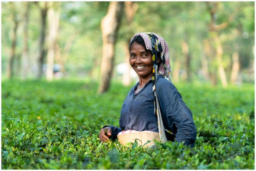 Smiling Woman Lush Green