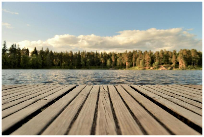 Serene wooden dock with a forested lake view under