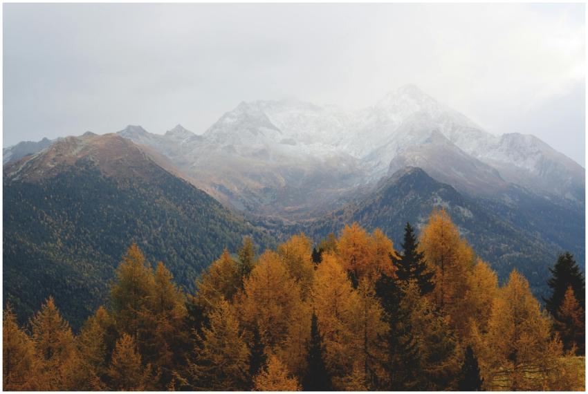 Stunning view of mountains with autumn foliage and