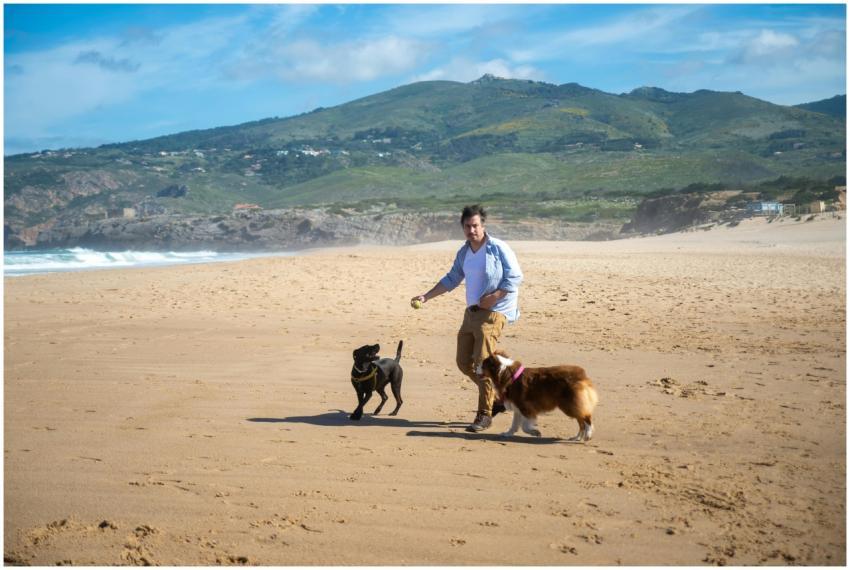 A man enjoys a sunny day playing fetch with two do