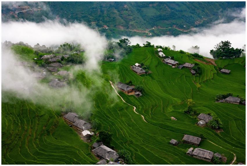 Aerial view of lush green rice terraces in Hoàng S