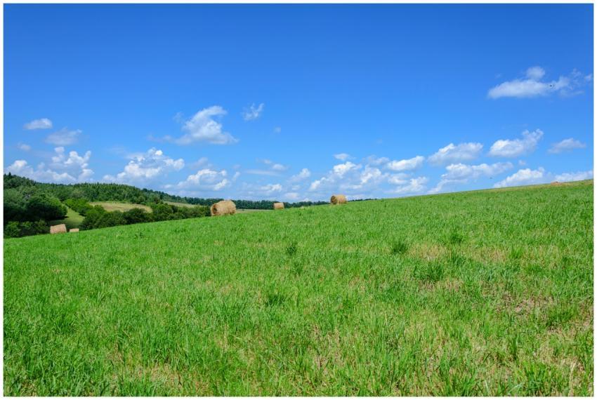 Tranquil rural scene with hay bales on a vibrant g