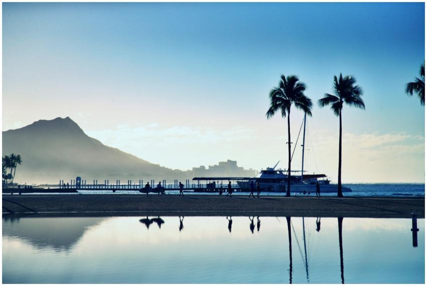 Serene Hawaiian beach at sunset featuring palm tre