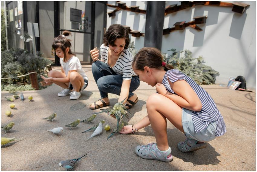A family enjoys feeding parakeets outdoors on a su