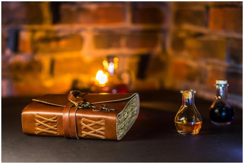 Still life featuring a leather-bound book and poti