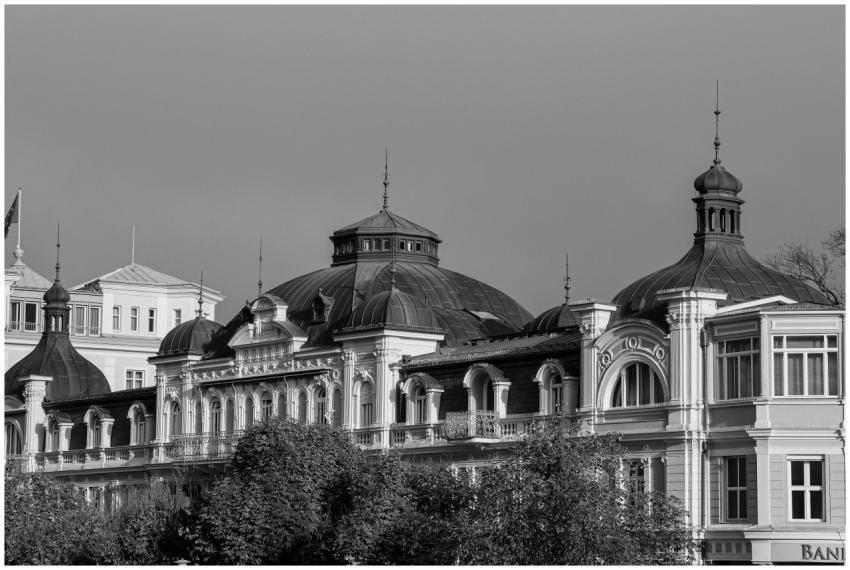 Black and white image of ornate historic building