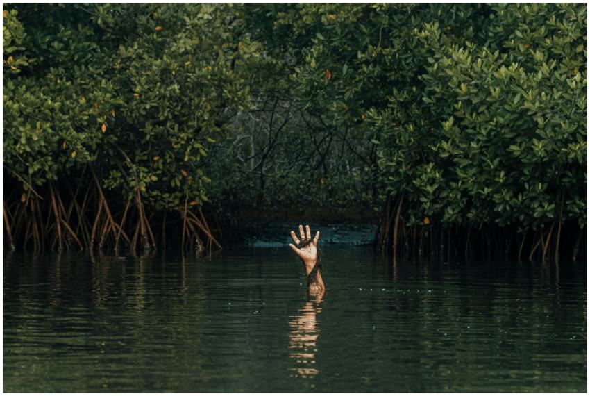 A captivating shot of a hand reaching from water s