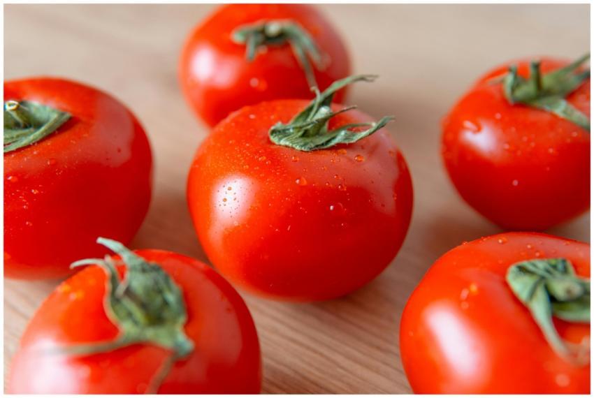 Close-up of fresh cherry tomatoes with dewdrops on