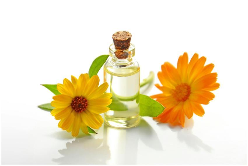 A glass bottle of aromatic oil with chamomile flow