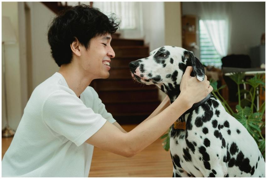 A cheerful man interacts with a Dalmatian dog insi
