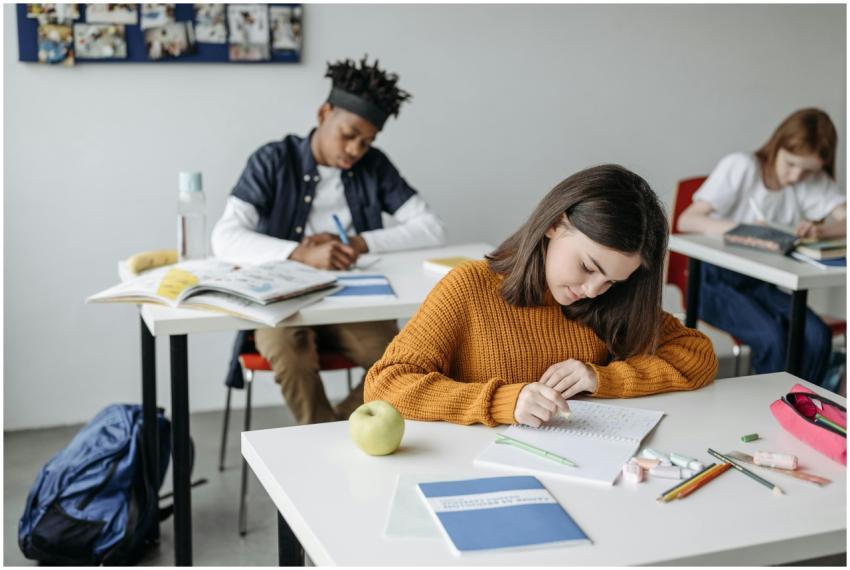 Students focused on schoolwork in a classroom sett