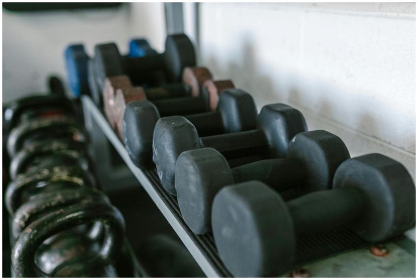 Neatly arranged dumbbells and kettlebells on racks