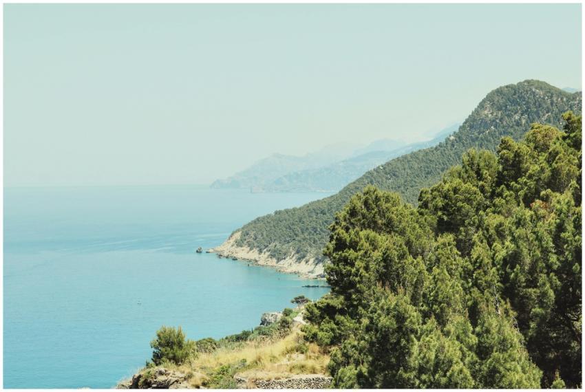 Stunning view of a tropical coastline with lush gr