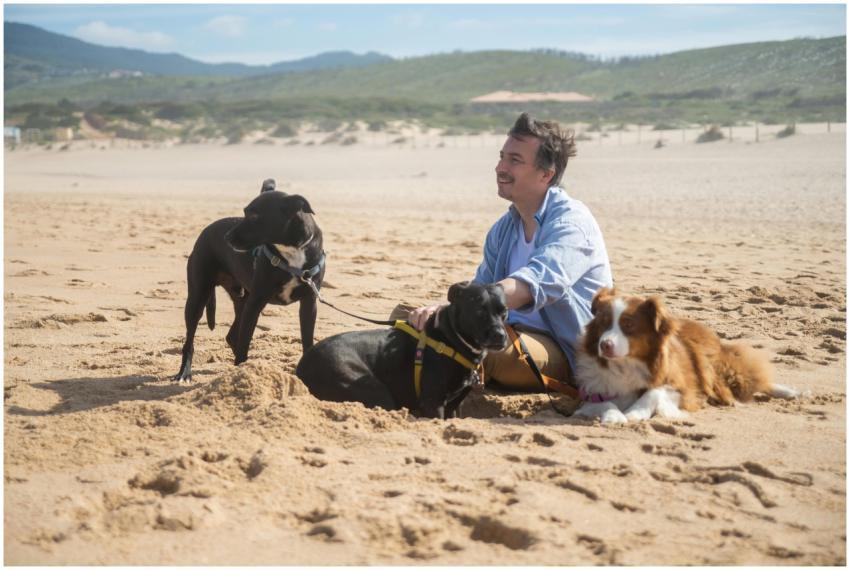 A man sitting in sand with three dogs on a sunny P