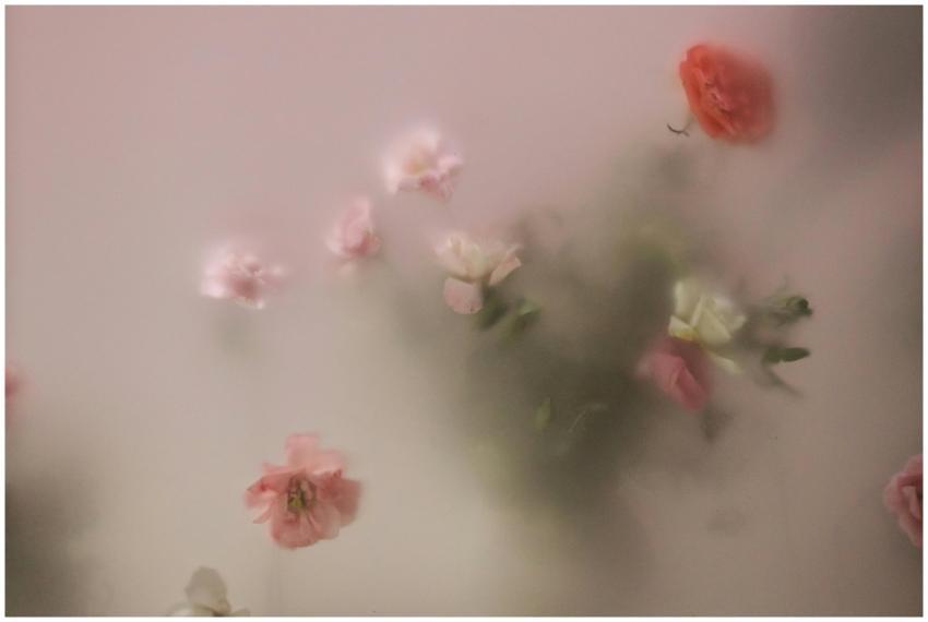 Blurred pastel pink flowers create a dreamy and so