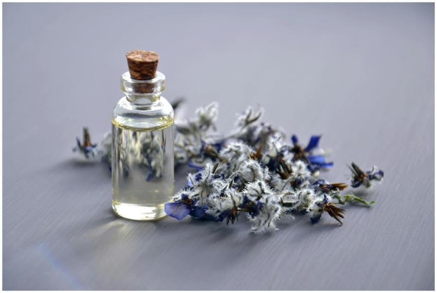 Close-up of a lavender oil bottle with dried flowe