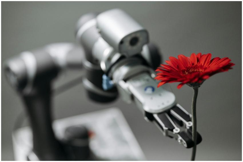 A robotic arm delicately holds a vibrant red flowe