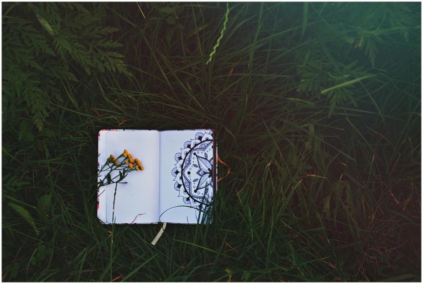 A sketchbook with mandala drawing placed on lush g