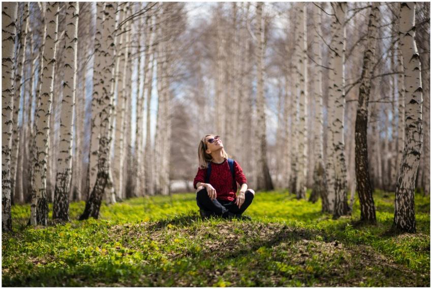 A woman sits peacefully in a sunlit birch tree for