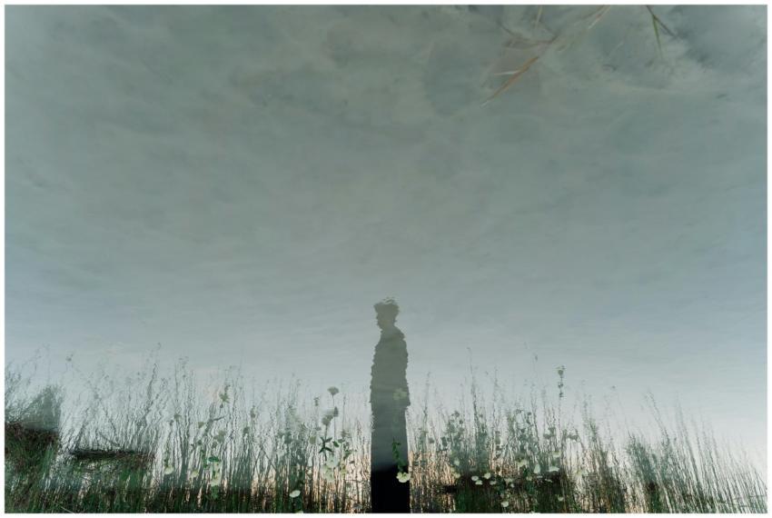 Artistic reflection of a person in a tranquil mead
