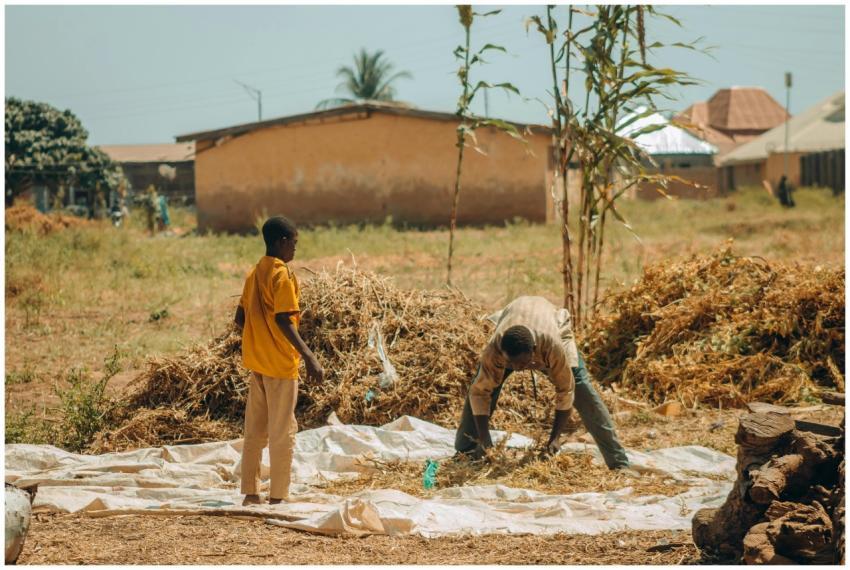 A rural outdoor scene depicting two people working