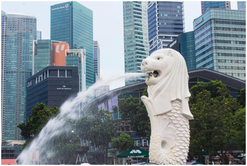 Free stock photo of marina bay, merlion, singapore