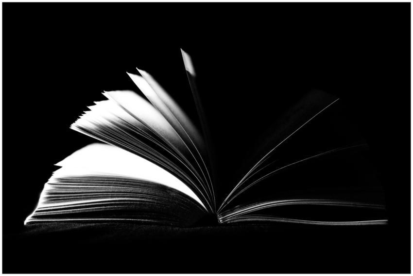 A striking black and white image of an open book w