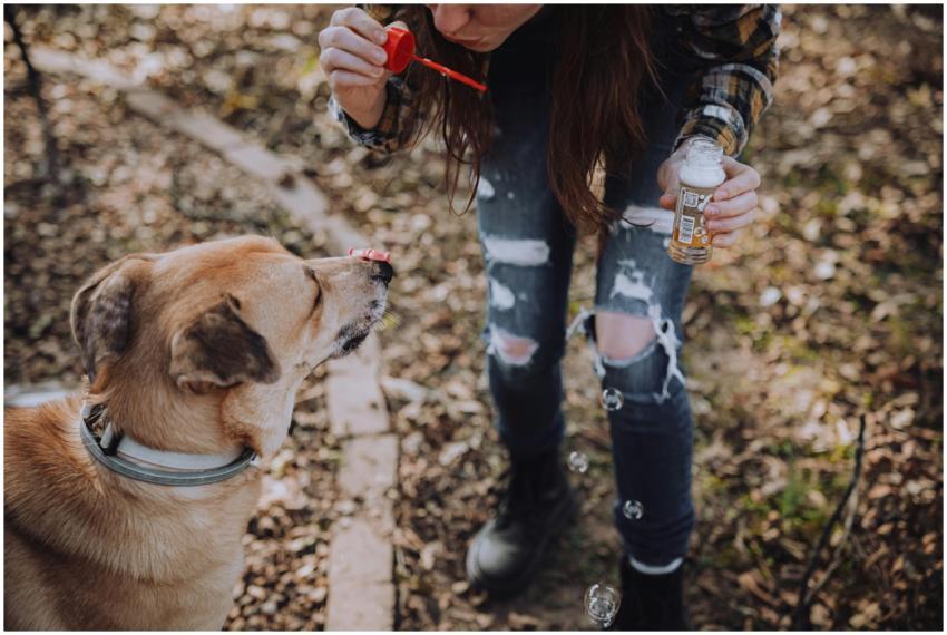 A person blows bubbles for a playful dog outdoors,