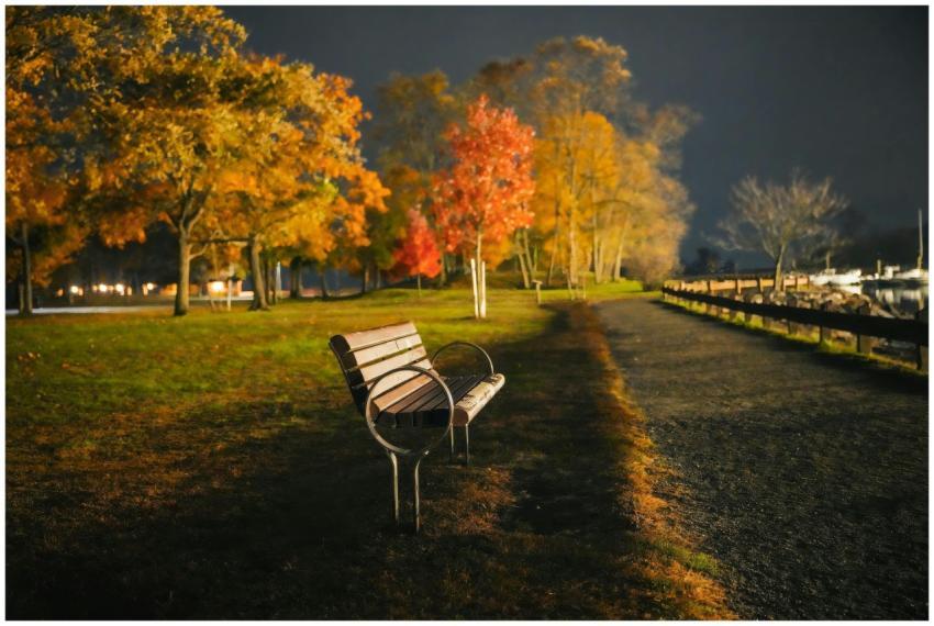 Park bench under autumn trees lit at night exuding