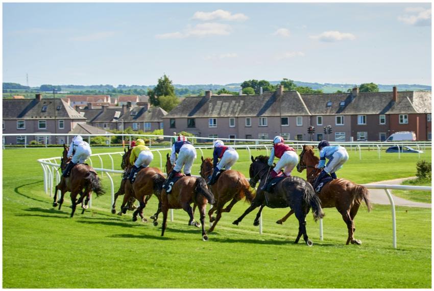 Free stock photo of bit, bridle, building